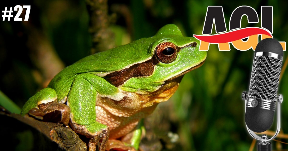 einen Frosch im Hals haben 🐸 #idiom (Podcast S01E27)